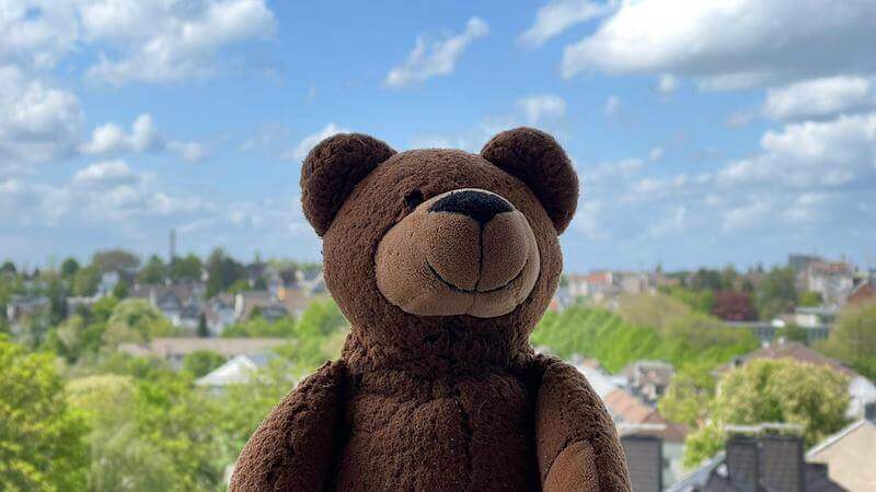 Der Contentbär geht Fischen