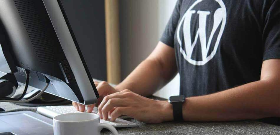 WordPress Wartung