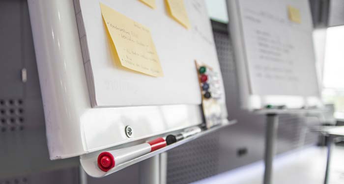 Webentwicklung: Grundlagen, Frameworks & agile Entwicklung